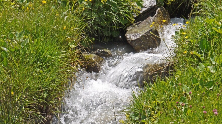 FBiH i RS tradicionano zajednički obilježavaju Svjetski dan voda