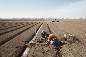 1.500 ha malih OPG-a dobit će navodnjavanje
