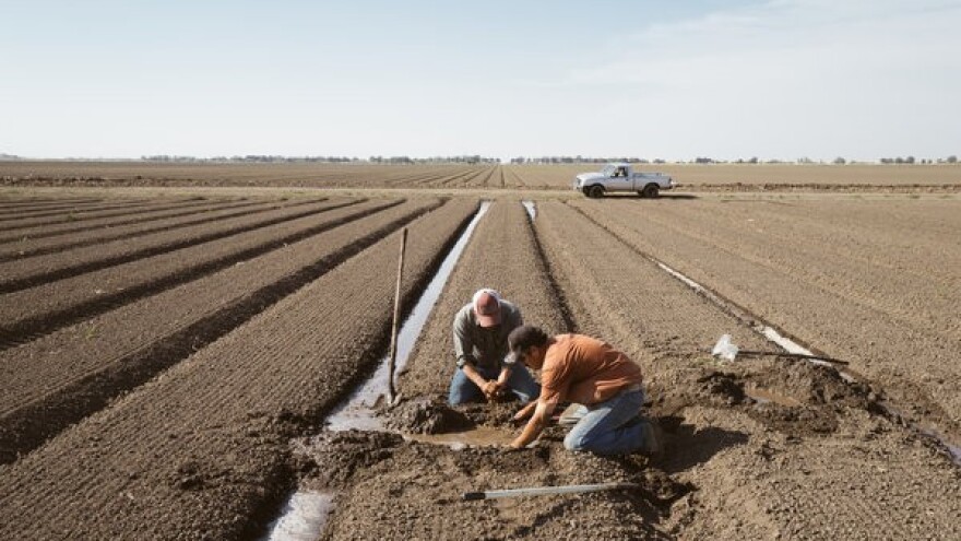 1.500 ha malih OPG-a dobit će navodnjavanje