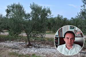 U Poreču su davno shvatili, bez poljoprivrede nema ni suvremenog turizma