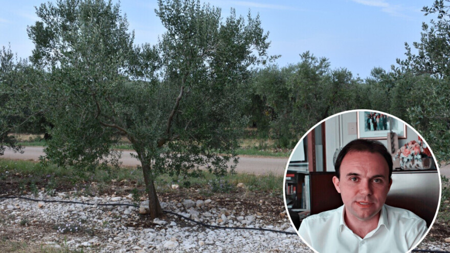 U Poreču su davno shvatili, bez poljoprivrede nema ni suvremenog turizma