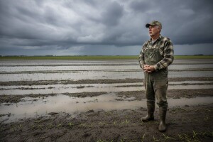 Voda prijeti netom zasijanim poljima