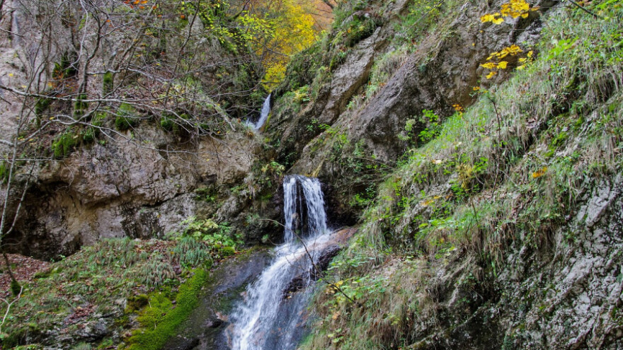 Flaširanje i izvoz vode - potencijal BiH
