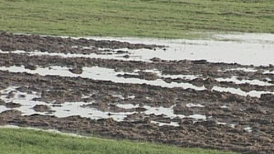 Voda odnijela sav urod