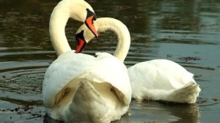 Svečanost zatvaranja twinning projekta