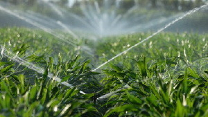 Navodnjavanjem do sigurnijih prinosa