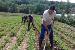Na svom imanju uzgajaju povrće, a u vlastitim vodenicama melju žito i prave brašno