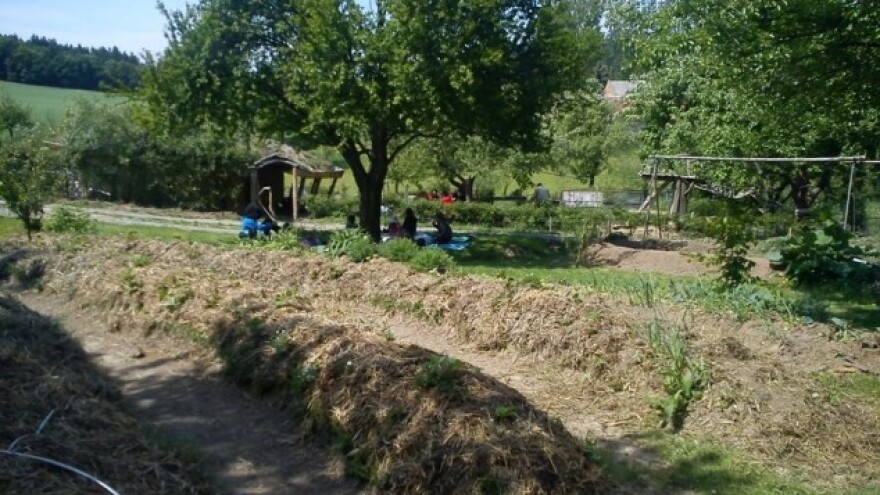 Poziv za zakup zemljišta u općini Suhopolje