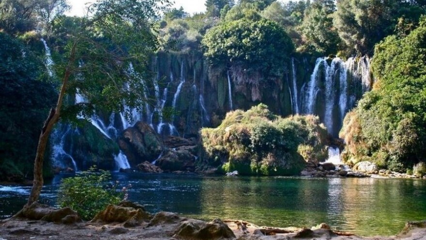 Što donosi novi Zakon o šumama?