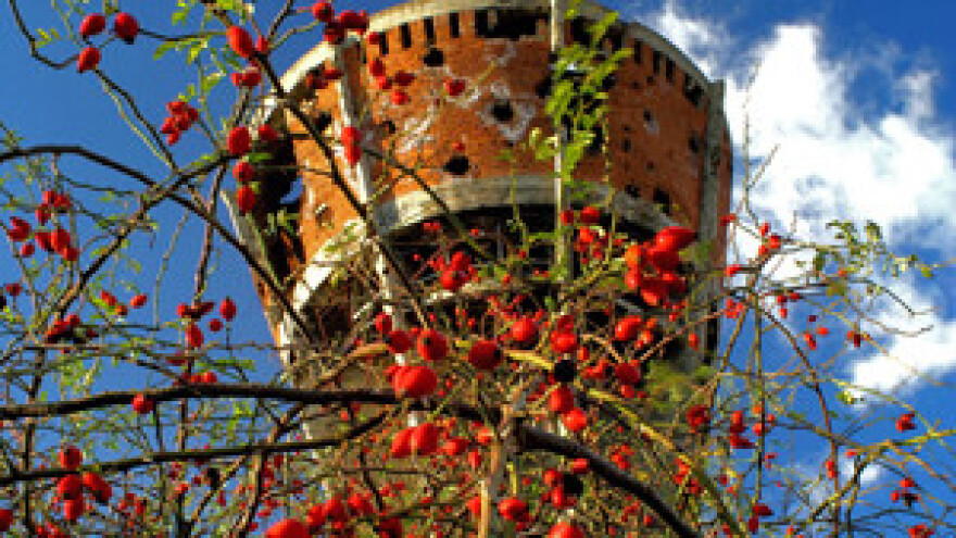 3. Poljoprivredni forum - Vukovar 2013.