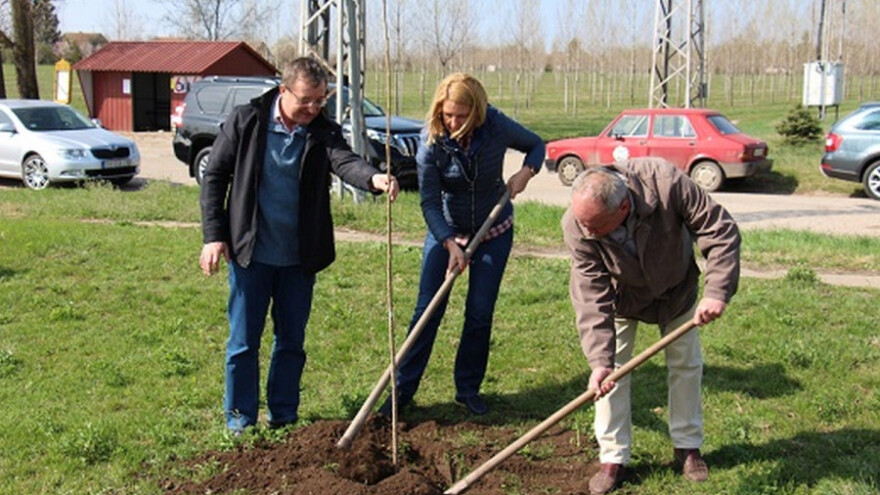 Pošumljavanje 1.600.000 hektara
