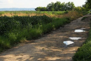 Laudonovac - vojvođansko selo na umoru