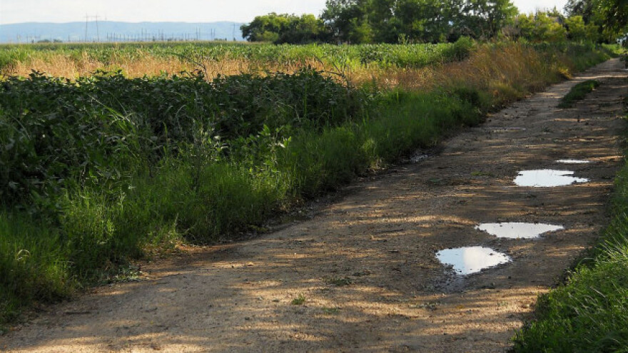 Laudonovac - vojvođansko selo na umoru