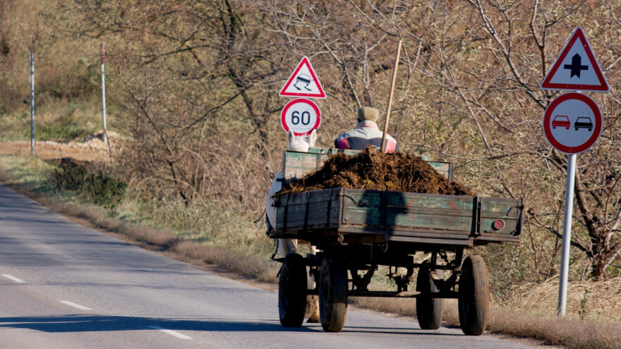 U februaru je proleće već stiglo? Nema dana bez rada