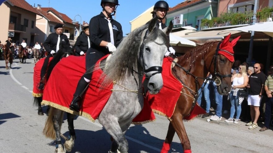 Više od 200 jahača i 100 zaprega na vozočašću u Mariji Bistrici