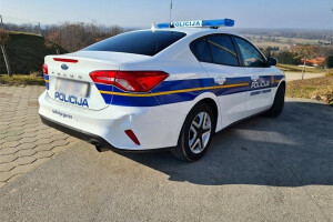 U rušenju stabla muškarac zadobio ozljede opasne po život