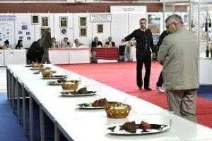 Prvi Sajam vina i kulena u Orahovici