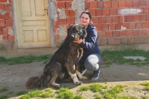 Ima 18 godina i svoju odgajivačnicu pasa težih od nje
