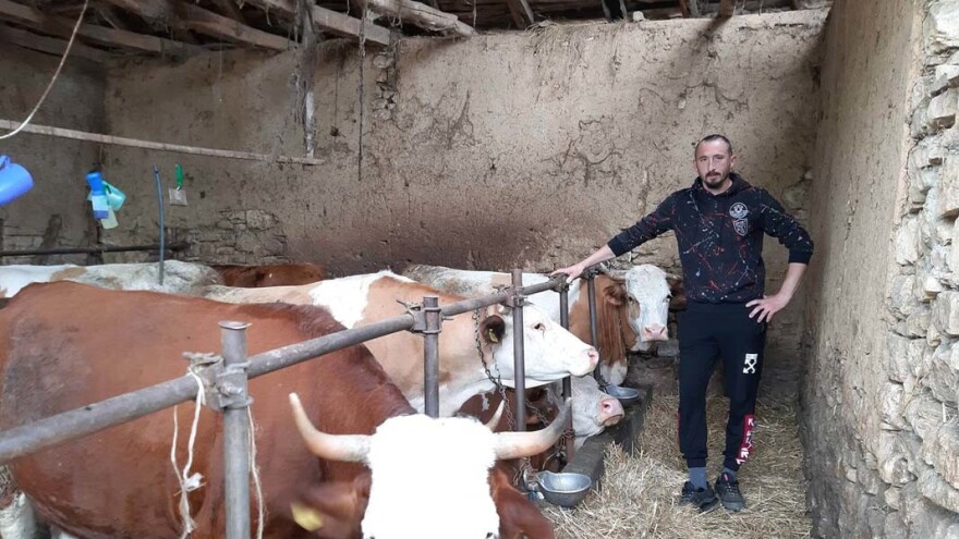 Kako izgleda biti jedini u selu koji prodaje mleko svojih krava?