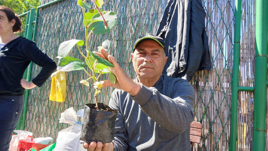 Zbog debelog minusa kivi Milorada Đokića promijenio spol?
