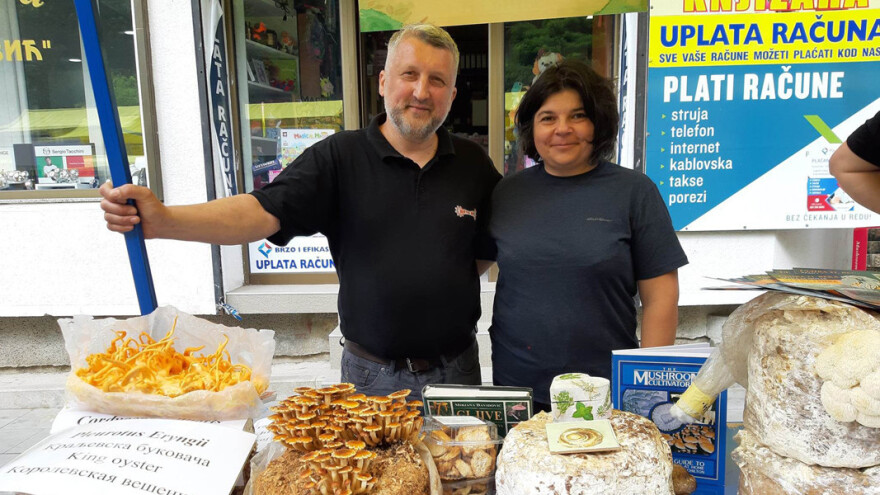 Proizvodi lekovite gljive: Kao podlogu za supstrat koristi specijalnu mešavinu