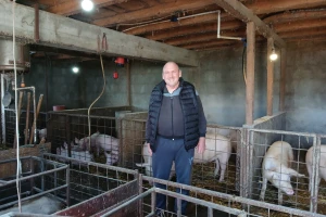 Zašto se uzgajivač svinja Goran Trajković opredelio baš za rasu veliki jorkšir?