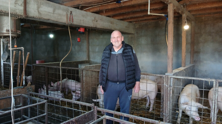 Zašto se uzgajivač svinja Goran Trajković opredelio baš za rasu veliki jorkšir?