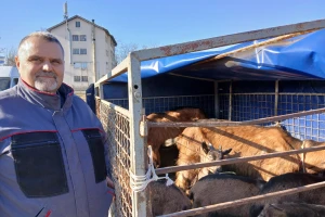 Da li je uzgoj alpino koza isplativ posao? Za Gorana Mladenovića jeste