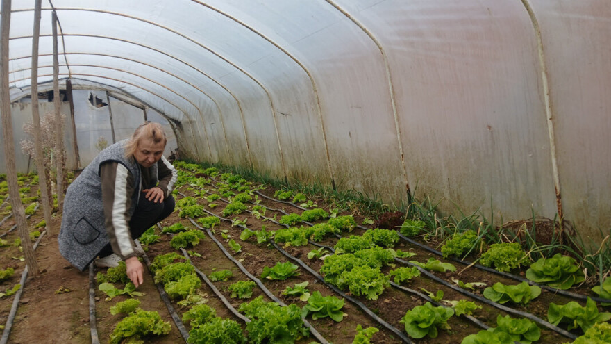 Ivana je ostala bez posla, pa počela da uzgaja povrće. Sada ima nekoliko plastenika