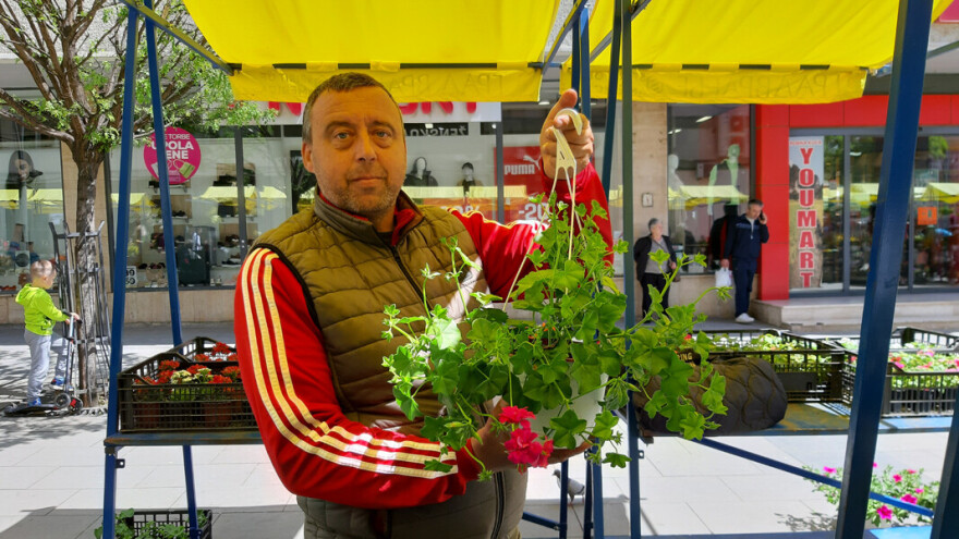U cvećarstvu se lepo zarađivalo, može i sada uprkos povećanim troškovima?