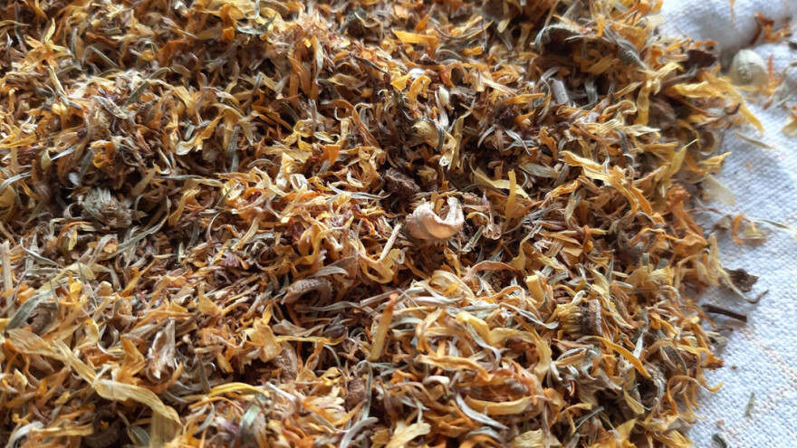 Jedan hektar nevena daje do 600 kg sušenog - plasman siguran, a cena?