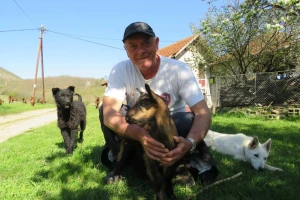 Želeo da se bavi kozarstvom - sada kupce osvaja kvalitetom sira