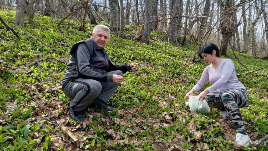Sremuš najbolje jesti svež za zdrav i vitalan organizam
