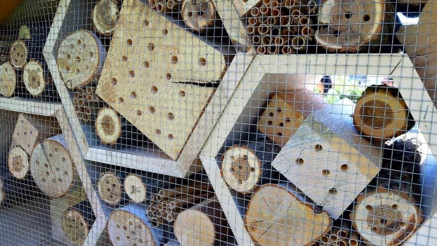 "Bzzz hotel" za solitarne pčelice i bubice postavljen u Vranju