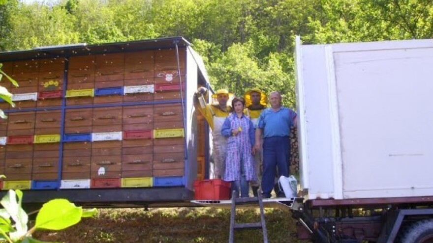 Od košnice na leđima nastalo pčelarsko carstvo!