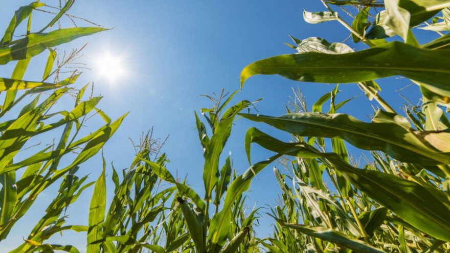 Vrijeme će pogodovati radovima na otvorenom