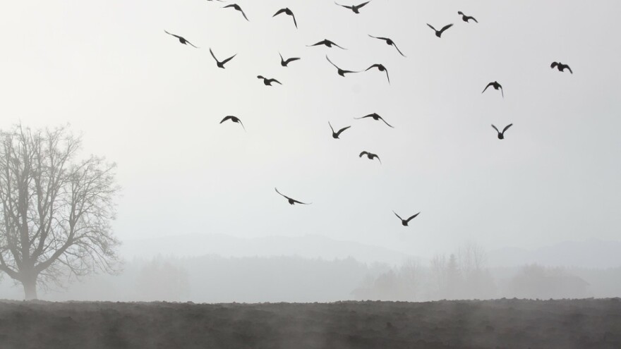 Oblačno i hladno od sledeće nedelje