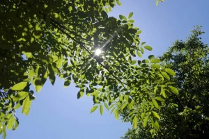 U petak od 32°C do 34°C!