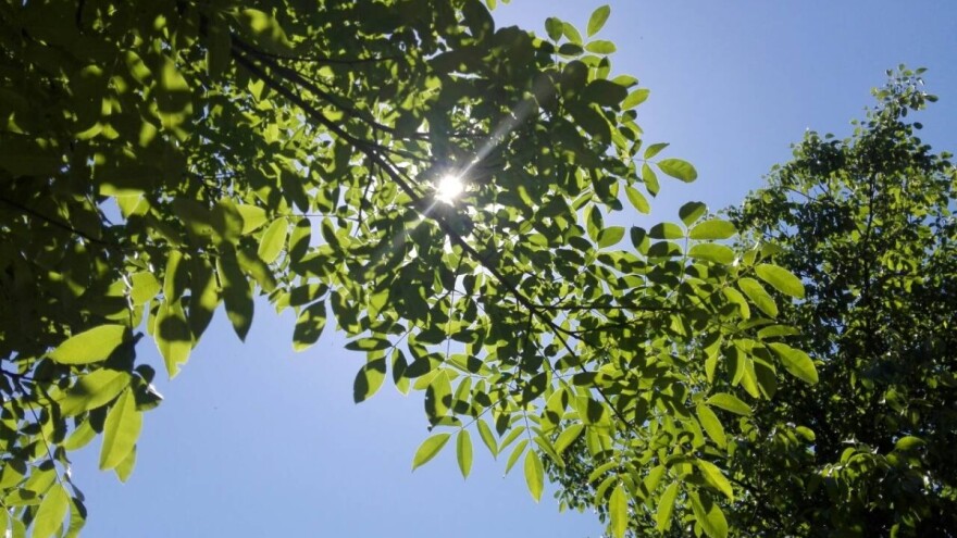 U petak od 32°C do 34°C!