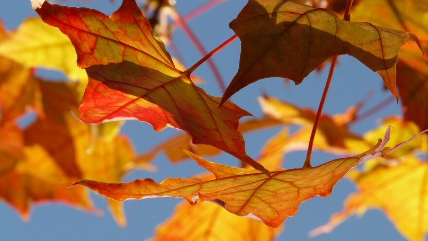 Pretežno sunčano, uz prolazno naoblačenje