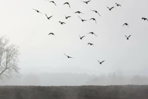 Oblačno i kišovito vrijeme i u narednim danima