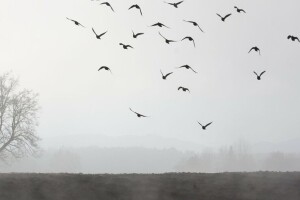 Oblačno i kišovito vrijeme i u narednim danima