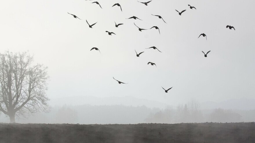 Oblačno i kišovito vrijeme i u narednim danima