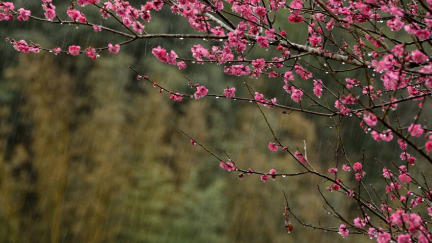 Vreme pogoduje infekcijama