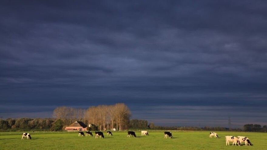 Turbulentno i nepredvidivo proljeće u Europi