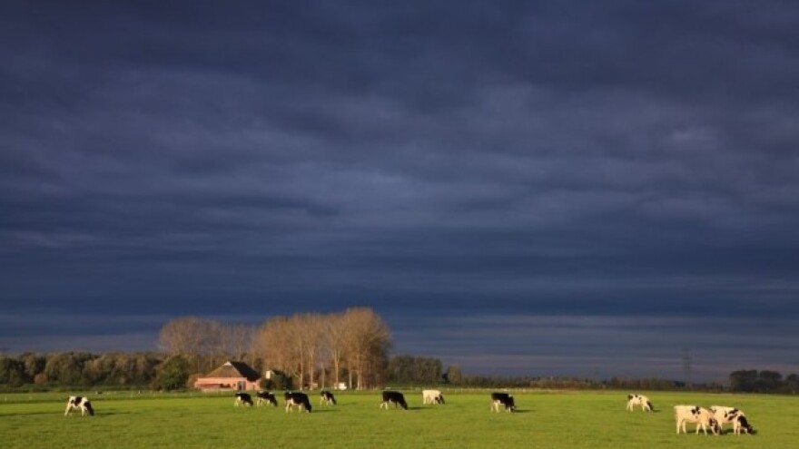 Turbulentno i nepredvidivo proljeće u Europi