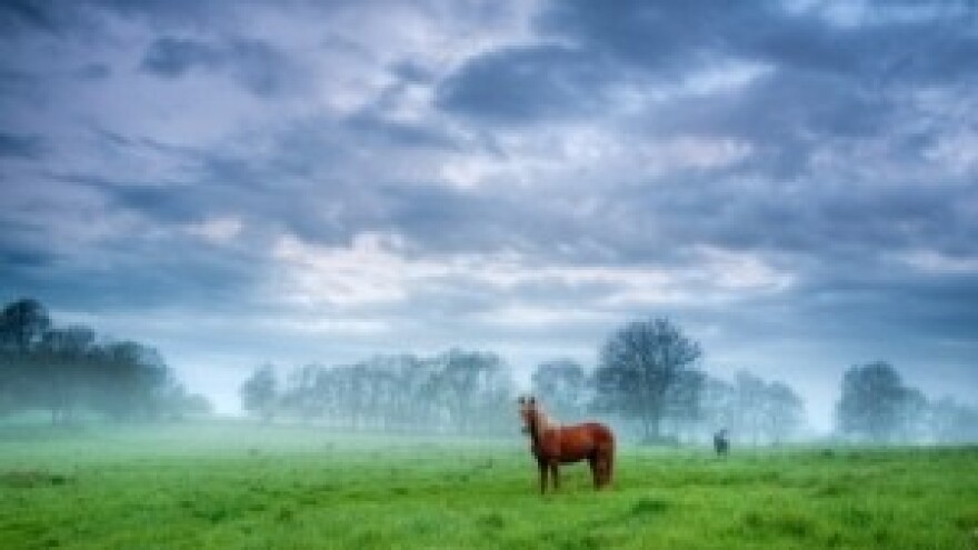 Izgledi za Hrvatsku za 08.08.2014-10.08.2014