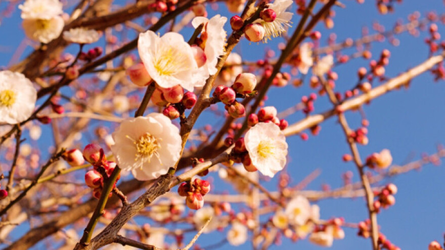 Toplo i sparno vreme