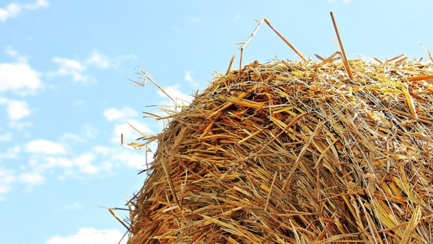 Tropske temperature, kiša samo ponegde