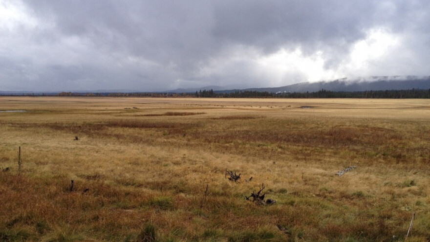 Promenjivo vreme, štetočine slabo aktivne